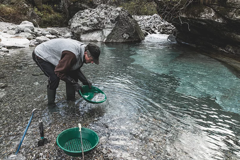 Gold panning, search for gold. Man