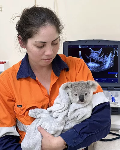 Health checks conducted by specialist veterinarian