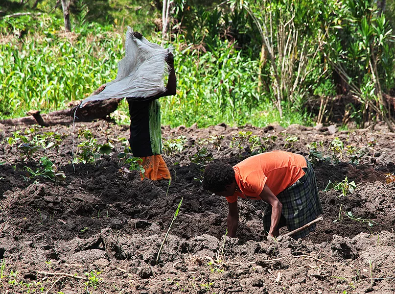 village, Papua New Guinea