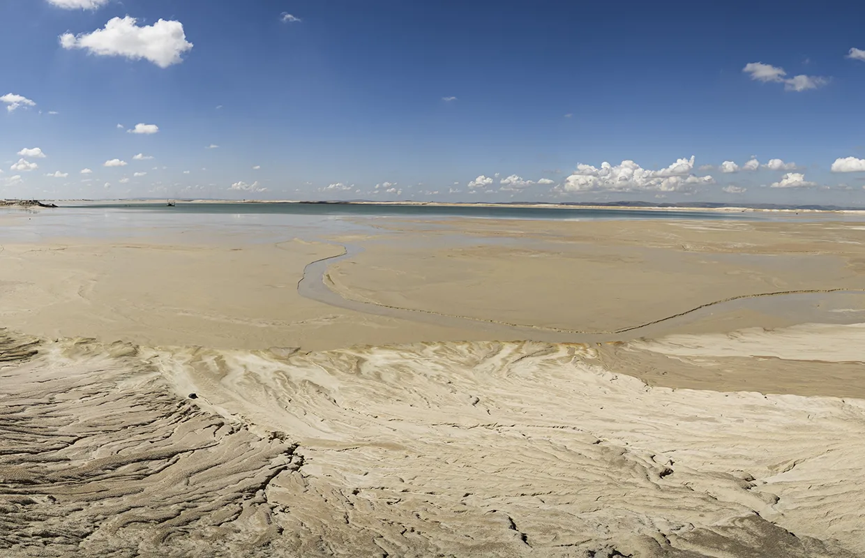 Fraser Alexander main