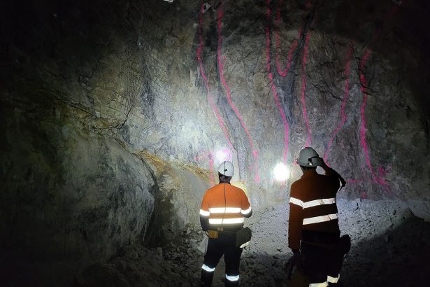 Larvotto Resources
